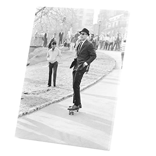 Tableau Central Park Skate 40x53cm pour masquer un mur vide