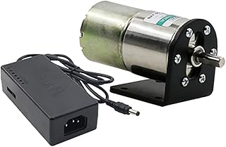 Micro Electric DC Gear Motor Variable Speed Permanent Magnet Gear Machine with Power Adapter and Bracket 10W (DC24V 300RPM)