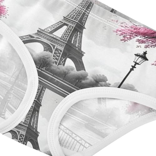 Girls Underwear Toddlers 2t Cotton Girl Panties Cute Durable Kids Briefs Undies Eiffel Tower Painting Paris Grey4