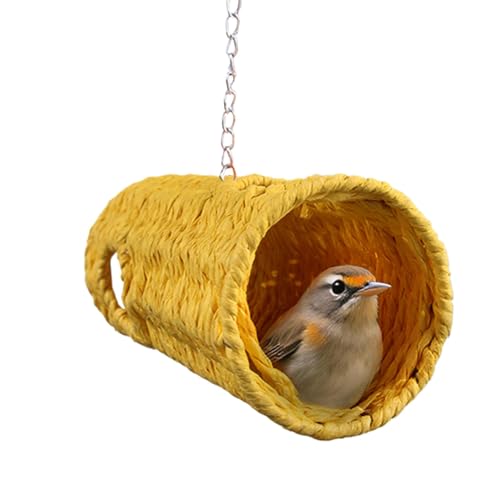 Tunnel suspendu pour perroquet et finch dans la volière du jardin