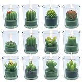 12 Pcs Decorative Succulent Cactus Tealight Candle Set - Handmade Mini Glass Holders, Decorative Votive Candles for House-Warming Party Wedding Baby-Shower and Home Decoration Gifts