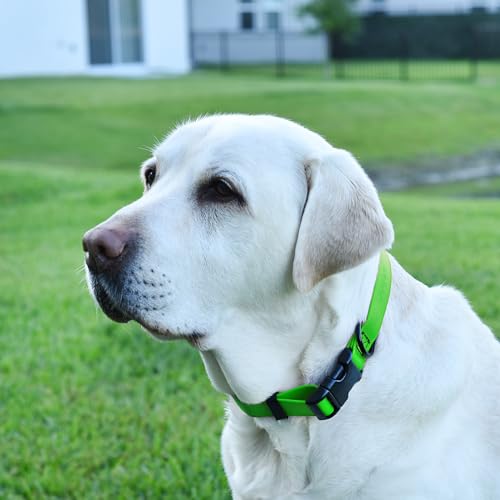 Image of Dogline Biothane Waterproof Dog Collar with Quick Release Buckle Strong Coated Nylon Webbing with Odor- Proof for Easy Care Easy to Clean Fits Small Medium Large Dogs, Lime Green 1 inch W 15-25 inch L