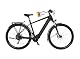 Fischer E-Bike ATB Terra 8.0i Elektrofahrrad für Damen und Herren