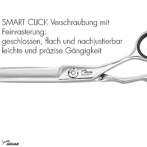 Ciseaux de coiffure JAGUAR Hera 7,0 pour réaliser des dégradés parfaits - 6