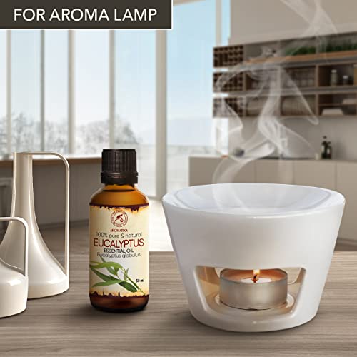 Eucalyptus Essential Oil 1.7 Fl Oz - Eucalyptus Globulus - 100% Pure Eucalyptus EO for Freshen Rooms - Home Fragrances - Aromatherapy - Diffuser - Aroma Lamps - Making Candles - Scented Oils