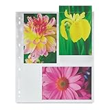 Pana-Vue Archival Pages