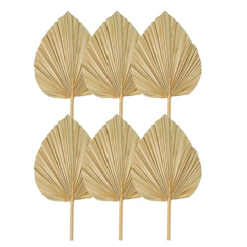 Cpolebev 6 Piezas Hojas de Palma Secas Abanicos de Palma Secas Naturales,Lanza de Palma Grande para DecoracióN de Boda,DecoracióN de Hojas de Palma Tropicales S