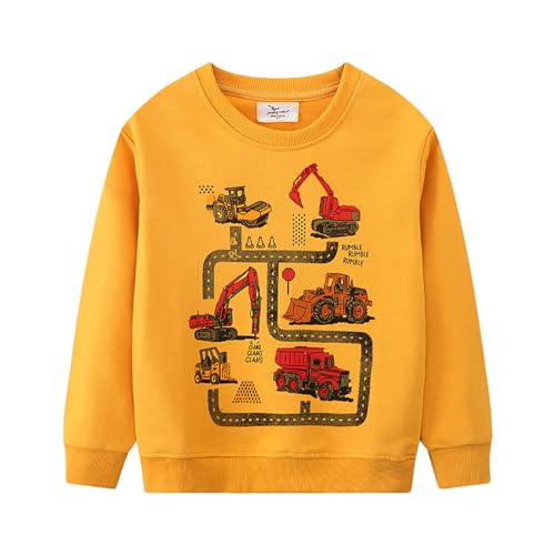 Boys Sweatshirts Casual Sweatshirts Cotton Sweatshirts Long Sleeve T-shirts Crew Neck Cartoon Tops for Boys-589