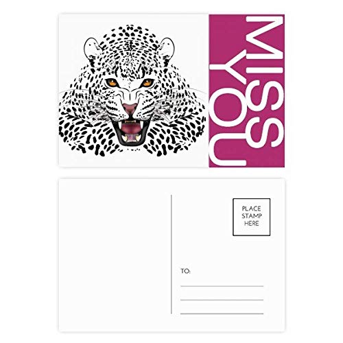 Cartes postales tigre à offrir en cadeau créatif ou pour accompagner vos présents