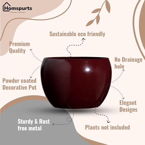 Image of Sunshine Elegant Matte Finished Brown Tabletop Flower Pot Planter | Metal Plant Pot for Indoor Succulent Plants, Living Room, Home Decor, Office, Restaurant