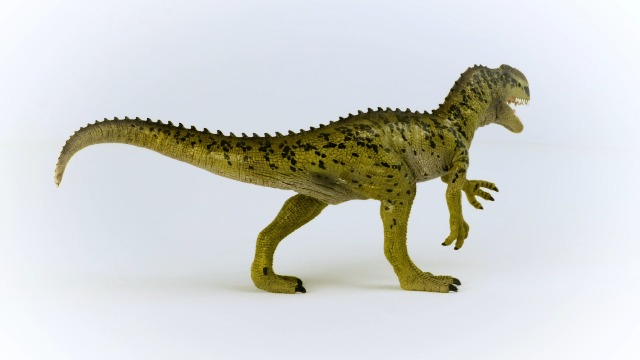 Amazon.co.jp: シュライヒ 恐竜 モノロフォサウルス 15035 : おもちゃ