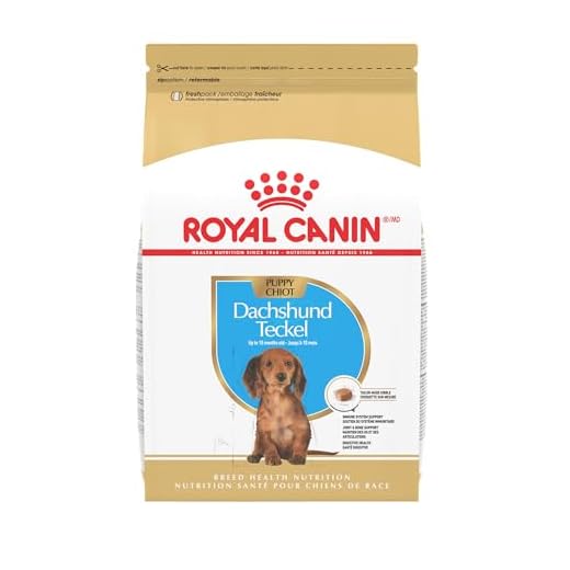 Royal Canin Breed Health Nutrition Dachshund Puppy Dry Dog Food, 2.5 lb Bag