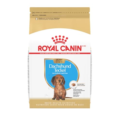 Royal Canin Breed Health Nutrition Dachshund Puppy Dry Dog Food, 2.5 lb Bag