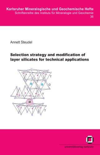 Selection strategy and modification of layer silicates for technical applications view 2