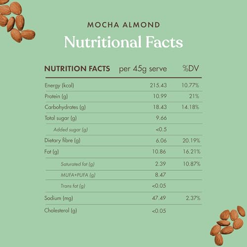 Image of Cosmix No-Nonsense Protein Bar | Mocha Almond | 11g Complete Plant Protein + 6g Fibre | No Added Sugar or Preservatives | Gluten & Lactose-Free, Gut-Friendly | 45g Bar | Pack of 6