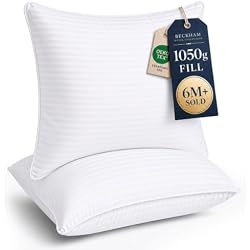 Beckham Hotel Collection Euro Size Throw Pillows (Set of 2), 26 x 26 | Down Alternative Pillow Insert for Bed, Couch, and Sofa
