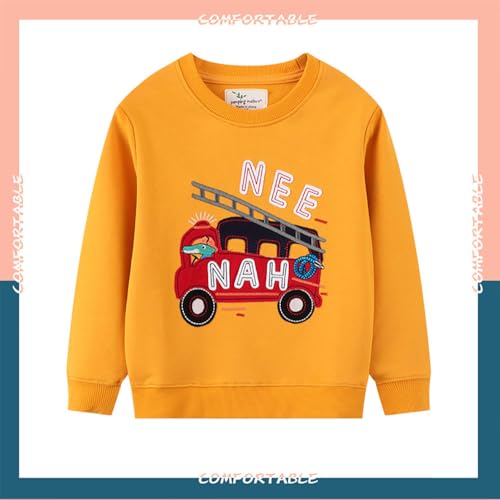 Boys Sweatshirts Casual Sweatshirts Cotton Sweatshirts Long Sleeve T-shirts Crew Neck Cartoon Tops for Boys-6313