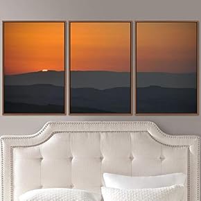 signwin 3 Piece Framed Canvas Wall Art Orange...