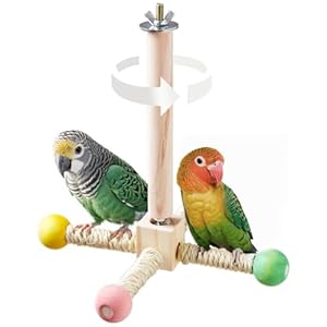 Bird Stand Perch Toy, Interactive Spinning Parakeet Toys, Wooden Exercise Wheel Parrot Toy, Enrichment Cockatiel Toy for Birds Cage, Bird Cage Accessories Perch Toys for Budgies