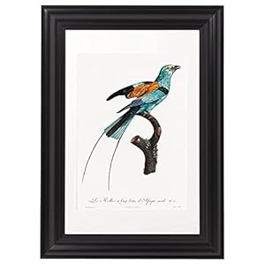 Exotische vogel Fine Art Print
