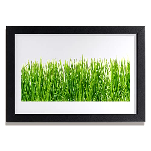 Image photo salon et chambre avec l'affiche encadrée 30x20 cm nature sauvage Tulup