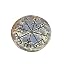 Viking Norse Vegvisir Coin