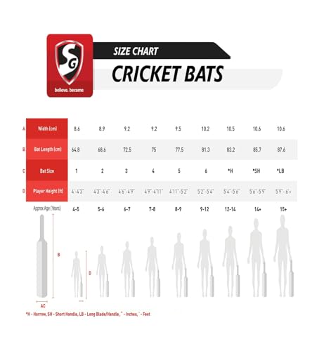 Image of SG Willow Wood KLR 1 Cricket Bat