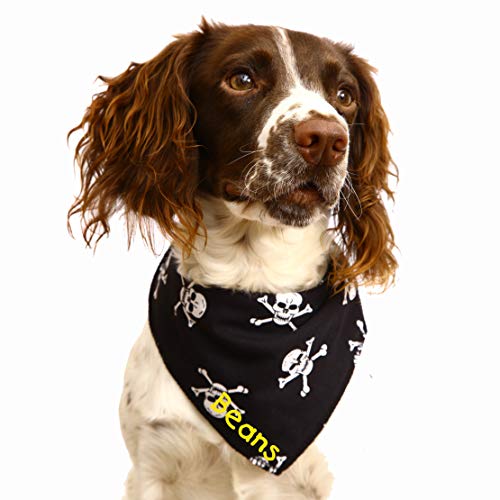 pirate dog bandana
