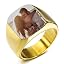 C1: Gold (Color Photo)