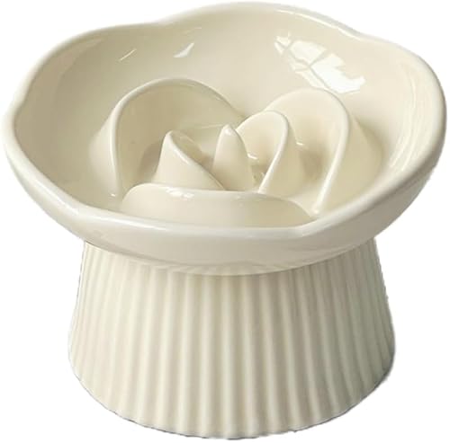 KryZaroN[JX^[hFybgHh~M Lp NǗt[h{E v[gK