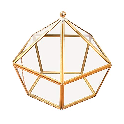 Preisvergleich Produktbild Knowooh Schmuckschatulle Glas Terrarium Box Pflanzenbehälter Schmuck Organizer Halter Tisch Platte Sukkulenten Container Hause Schmuck Lagerung