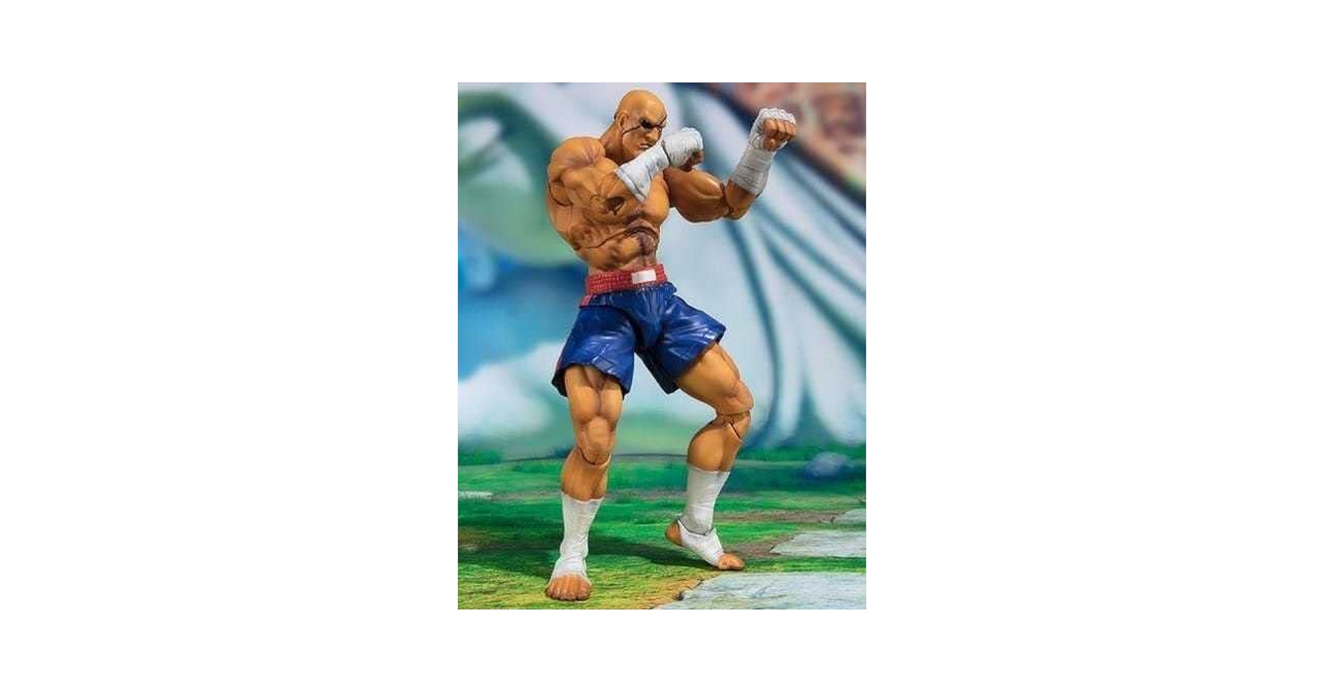 Amazon | フィギュアーツ S.H.Figuarts サガット/アクション