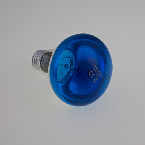 coloré Lampe R80 230 V/60 W pour fête Lightings/Culot à vis ES/e-27/bleu - Coloré Constant - Showking Cover