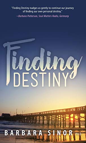 Finding Destiny view 2