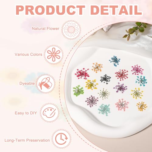 uxcell 24 piezas flores prensadas secas para manualidades miniatura 3