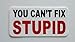 3 - You Cant Fix Stupid Hard Hat/Helmet Stickers 1â€ x 2â€