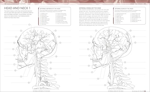 The Human Body Coloring Book: The Ultimate Anatomy Study Guide, Second Edition (DK Human Body Guides) - Image 7