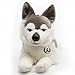 Husky Yankee Schlittenhund Alaskan Malamute liegend 45 cm Kuscheltier Plüschtier Hund Plüschhund