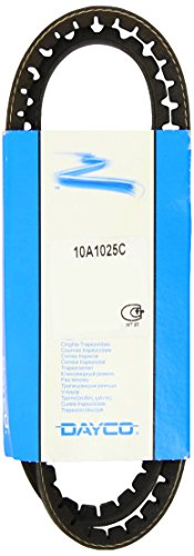 Dayco 10A1025C Cinghie Di Distribuzione