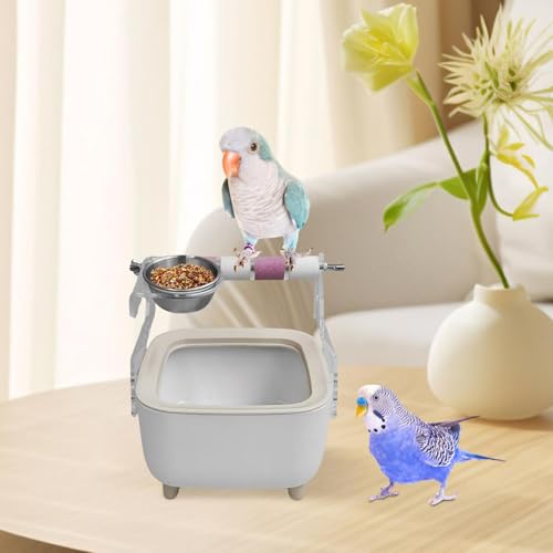 Perroquet de bureau : restez concentré avec le support de dressage pour oiseaux