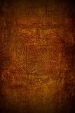 Latin Coat of Arms Lion Symbol: Embossed Leather Look Journal