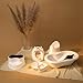 Rotho Babydesign TOP Badewanne - recycelt - Badewanne - Babybadewanne - Kinderbadewanne - Duschbadewanne - weiss