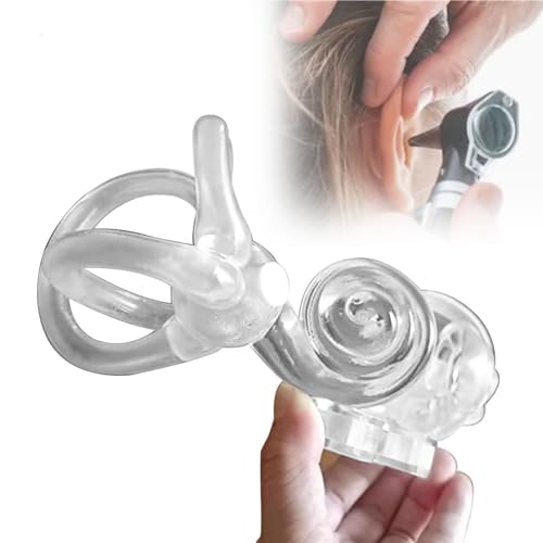 XINGNIAI Semicircular Canal Otolith Dynamic Model, Inner Ear Cochlear Vestibular Rehabilitation Model, Otolith Particles Dynamic Model, for Education and Teaching Research(Left)