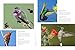 Birds & Blooms Ultimate Guide to Hummingbirds: Discover the wonders of one of nature's most magical creatures (Birds & Blooms Guide)