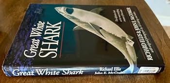 Hardcover Great White Shark Book