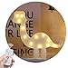 Obrecis Light Up Dinosaur Marquee Sign, Night Lights with Remote Control Timer Dimmable Dinosaur Decor for Children Kids Gift Bedroom Baby Nursery Lamp (RC White Dinosaur)