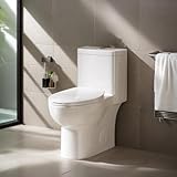 Elongated One Piece Toilet for Bathrooms, Comfort Seat Height 17.3', Dual Power Flush Toilet 1.1/1.6 GPF, Compact Space-Saver Design 12' Rough-In (White 006)
