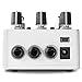 Raster 2 - Digital Delay Pedal