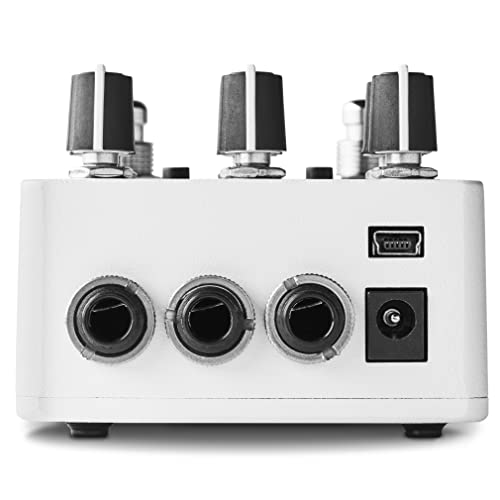 Raster 2 Delay effet delay pitch shifter modulation pour guitare électrique