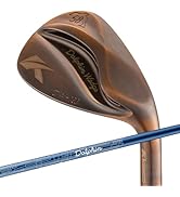 Amazon.co.jp: キャスコ ドルフィンウェッジ DW-123 N.S.PRO